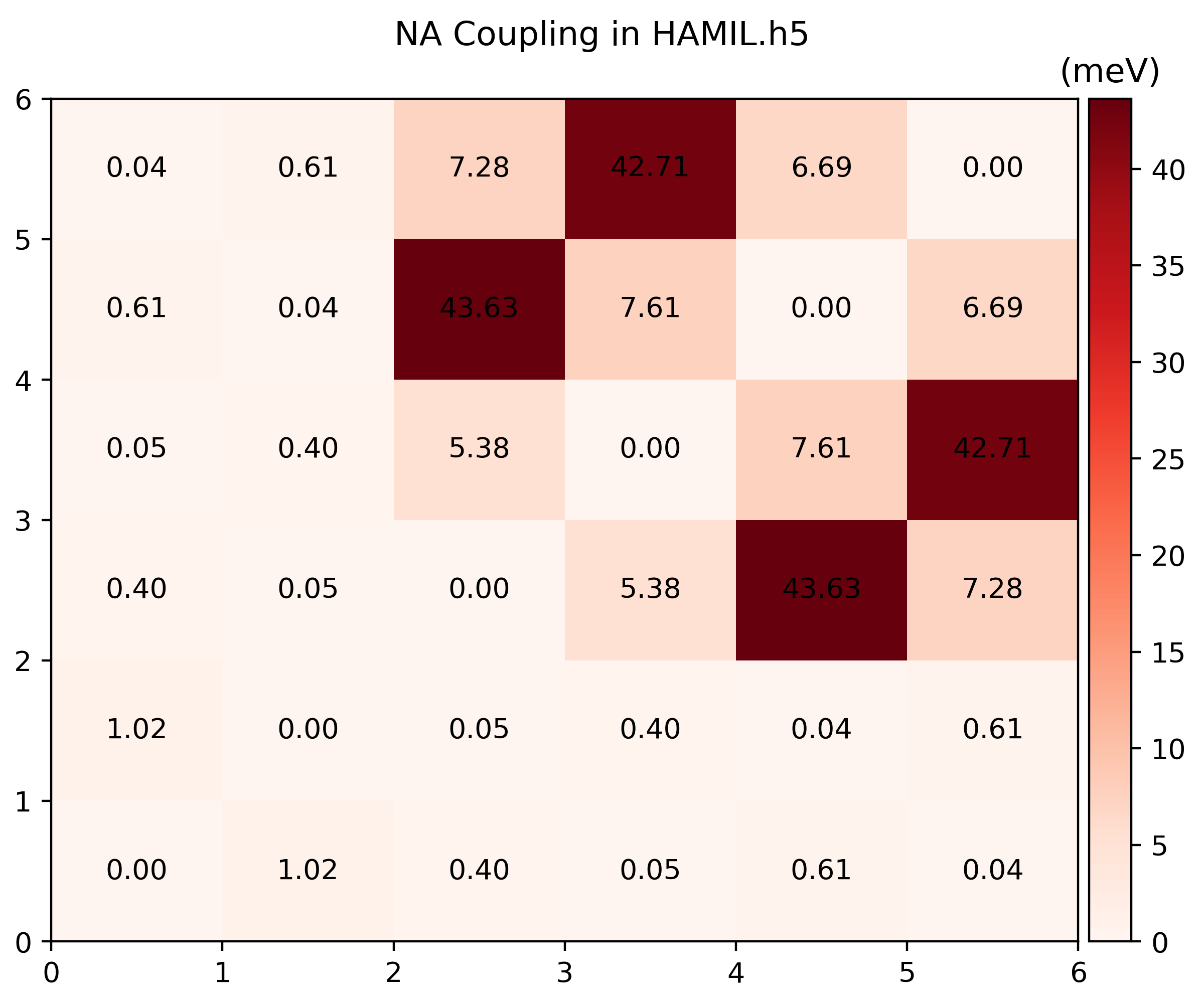 NAC inside Hamiltonian